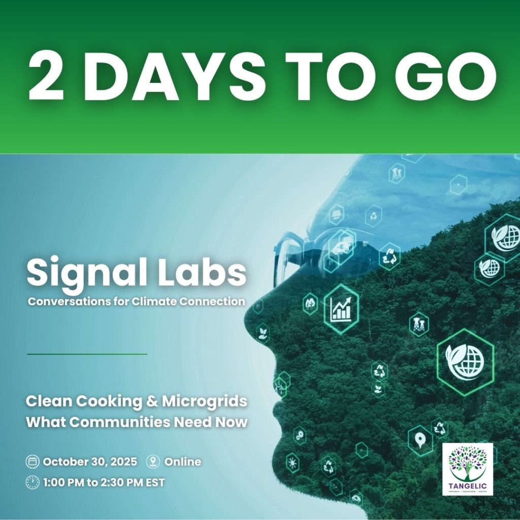 Signal Lab: Clean Cooking & Microgrids: What Communities Need Now