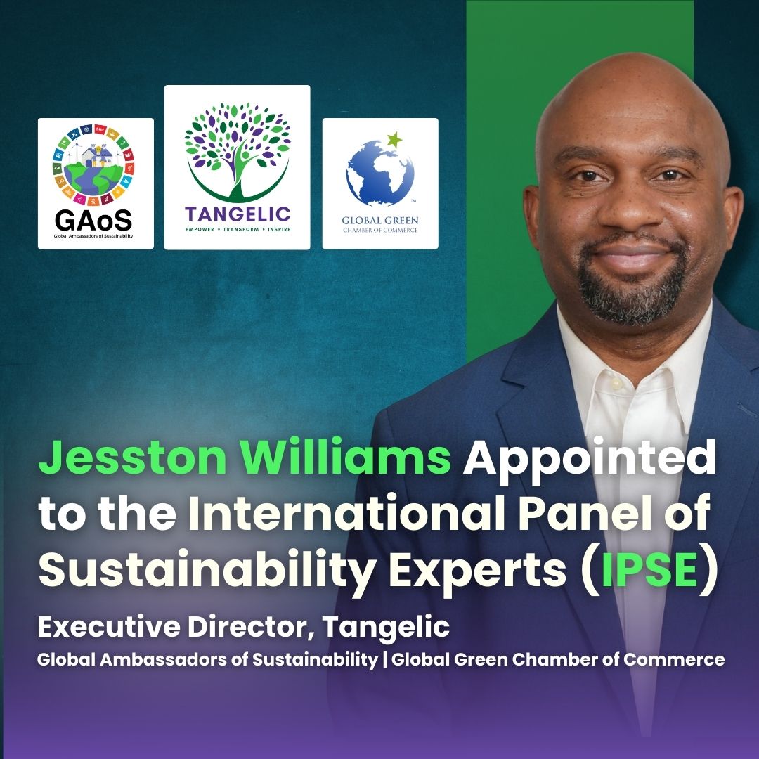 Jesston Williams Appointed to International Panel of Sustainability Experts